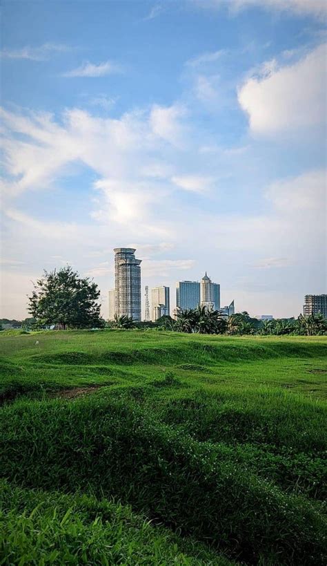 Menghijaukan Perkotaan