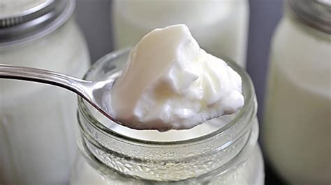 Mengonsumsi yogurt fermentasi