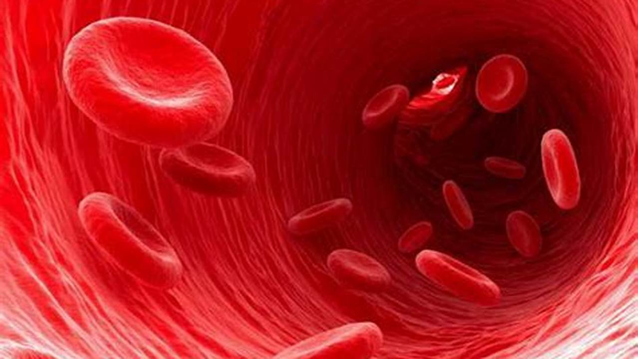 Meningkatkan Produksi Sel Darah Merah, Manfaat