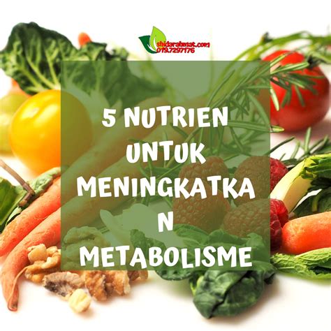 Meningkatkan Metabolisme