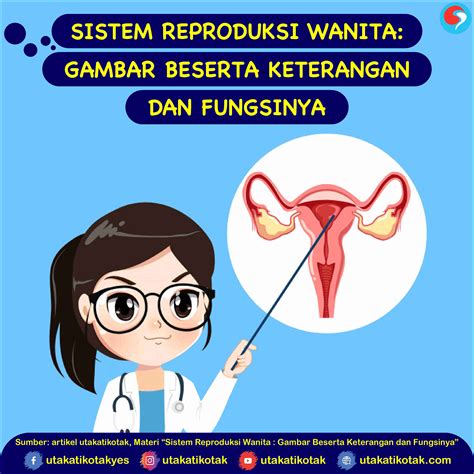 Menjaga Kesehatan Reproduksi Wanita