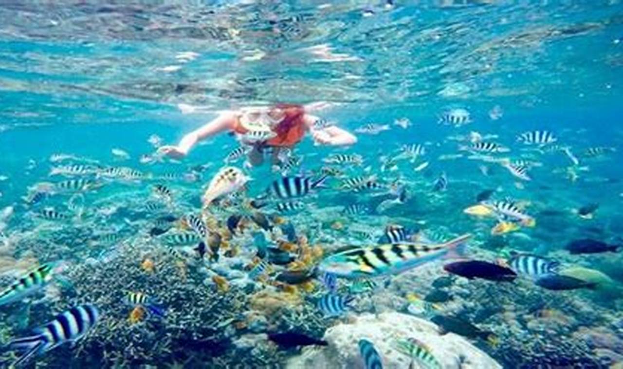 Menjelajahi Kekayaan Laut: 5 Spot Snorkeling Terbaik untuk Melihat Keajaiban Bawah Air!