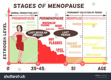 Menopause Age Calculator