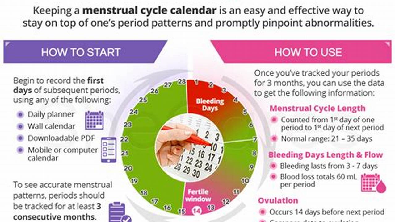 Menstrual Cycle Calendar Example