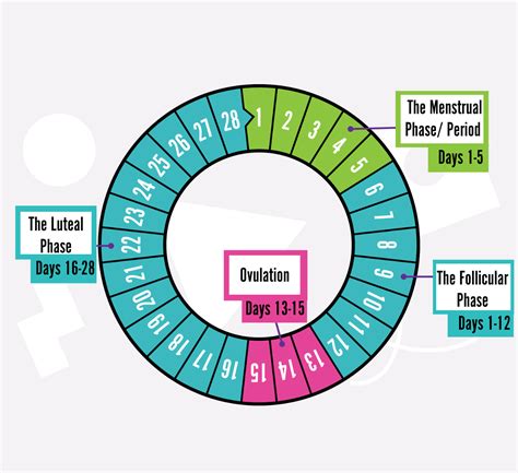 Menstrual Cycle & Exercise: Pain or Relief?