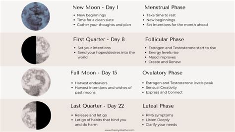 Menstrual Cycle Moon Chart