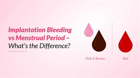 Menstrual vs. Pregnancy Blood: Key Differences Explained.