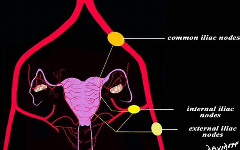 Menstruation And Lymph Nodes