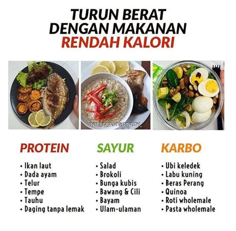 Menu Sehat Untuk Diet