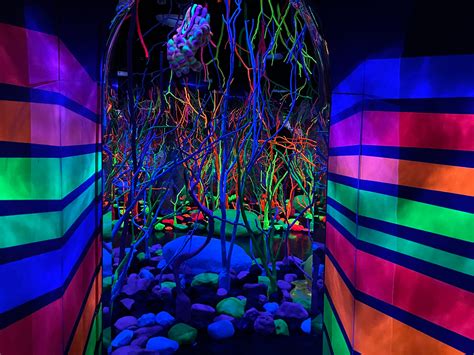Meow Wolf Grapevine review