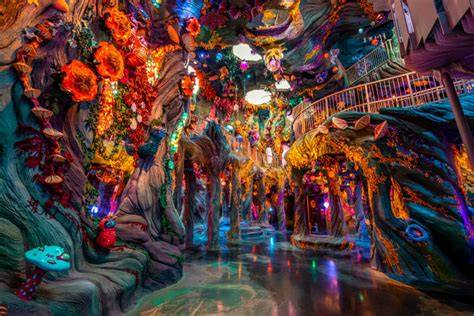 Meow Wolf Interactive Art