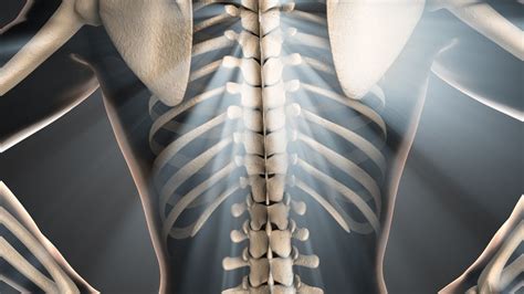 Merawat Kesehatan Tulang