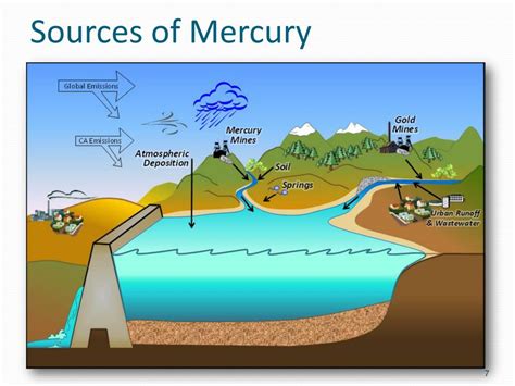 Mercury sources