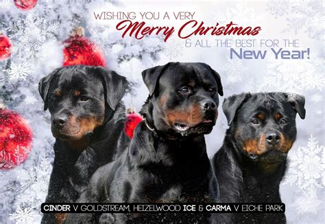 Merry Christmas Rottweiler Images