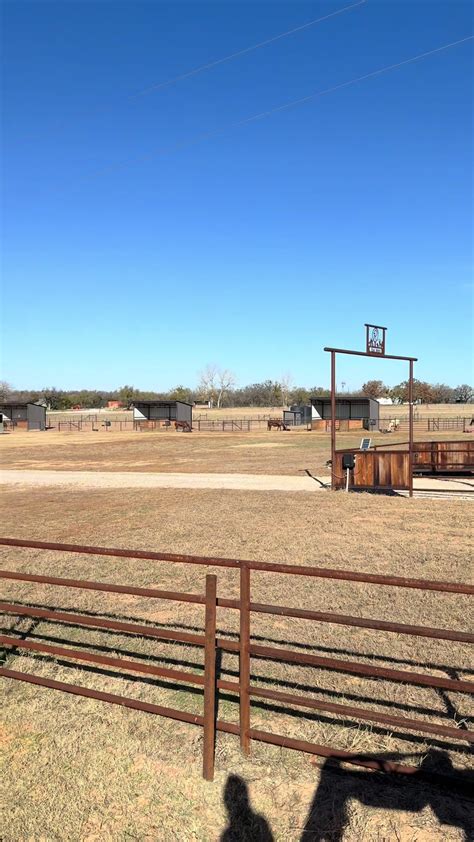 Merry Christmas Horses