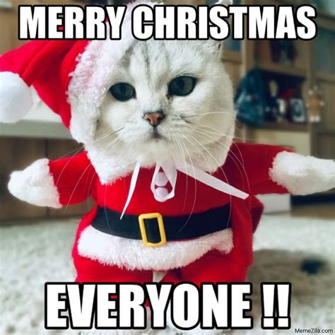 Merry Christmas Kitty Meme