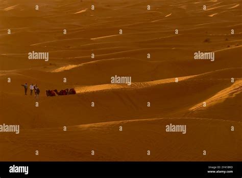 Merzouga Sahara Gateway