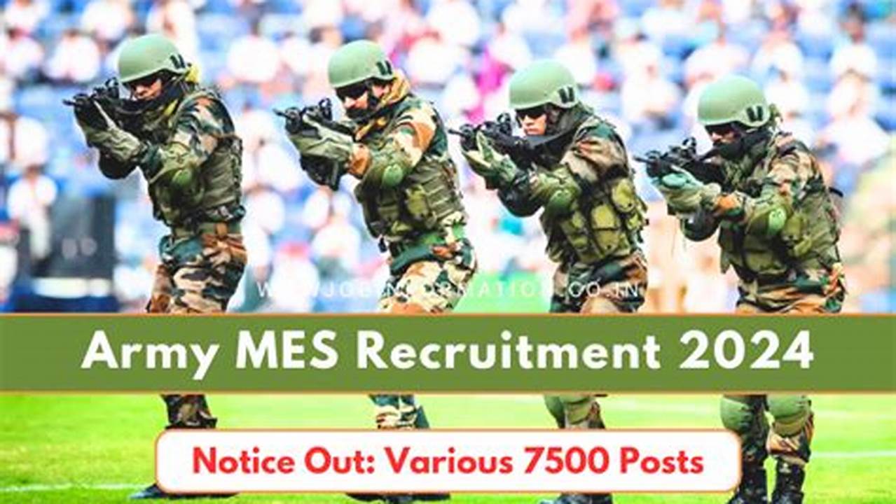 Mes 2025 Application Form Pdf