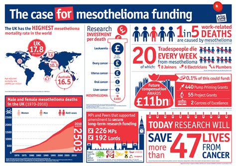 Mesothelioma Cancer Research Uk Doctor Heck