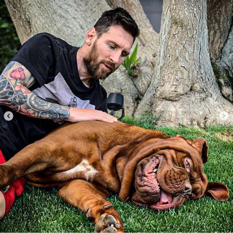 Messi Dog Name