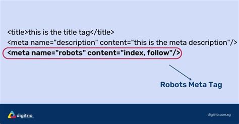 Meta Tags for SEO: Going Right About the Robots Meta Tag