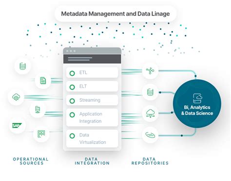 Metadata Management