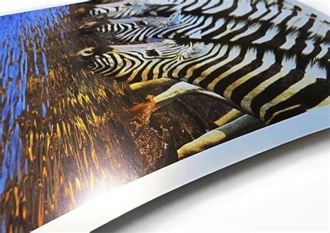 Stunning Metallic Paper Prints for Exceptional Decor and Gifts.