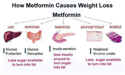 Pin on diabetes