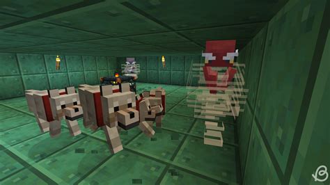 Method 2: Bring Tamed Wolves to Help Kill the Breeze