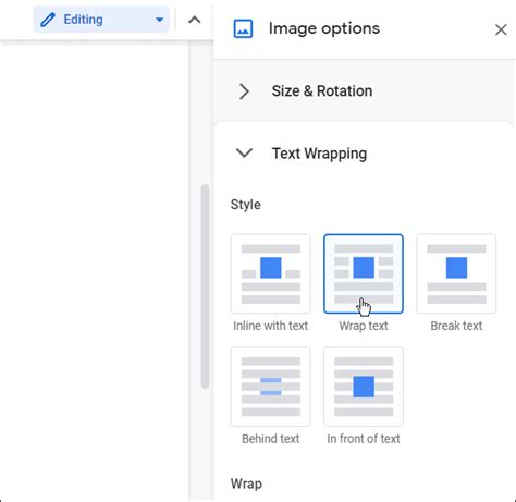 Method 2: Layer Images Using Wrap Text in Google Docs