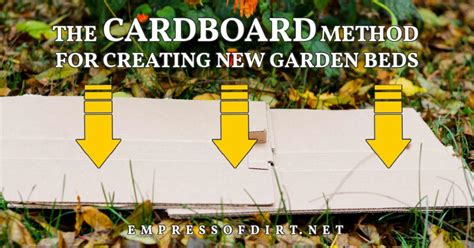 Method 2: The Container and Cardboard Method