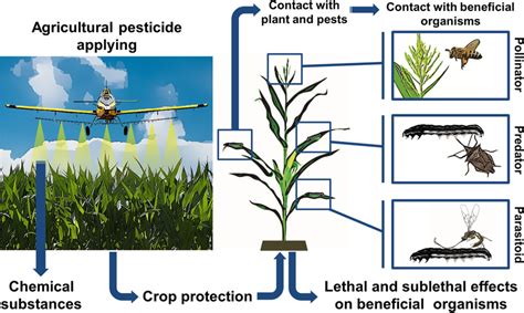 Method 2: Using Professional Insecticides