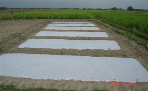 Method 3: The Solarization Technique (Eco-Friendly Approach)