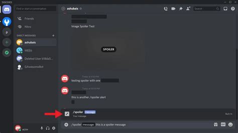 Method 3: Using the Discord Spoiler Slash Command (for PC and Android)