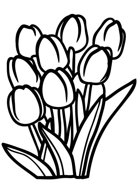 Mewarnai Bunga Tulip