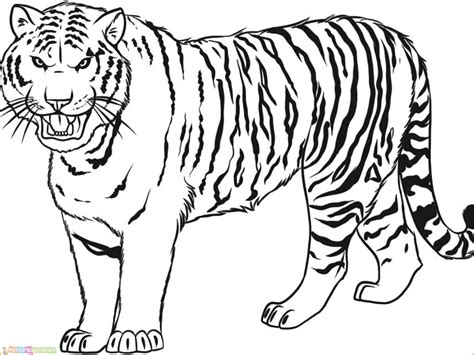 Mewarnai Harimau