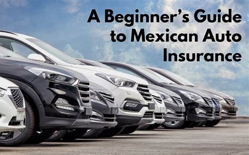 Mexican Car Insurance Reviews