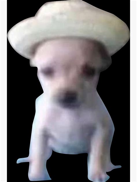 Mexican Dog Meme
