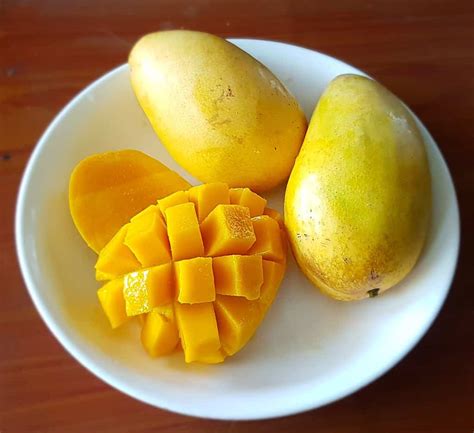 Mexican mango fruit