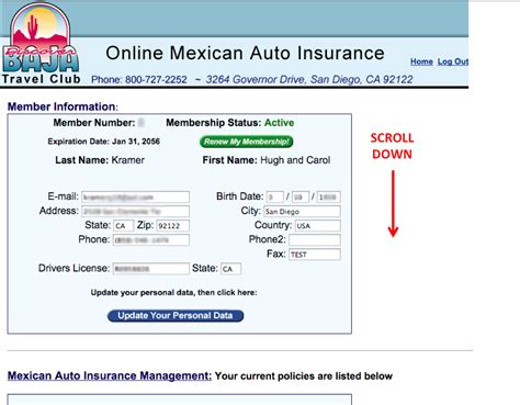 Mexico auto Insurance paperwork