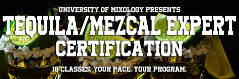 Mezcal Expert