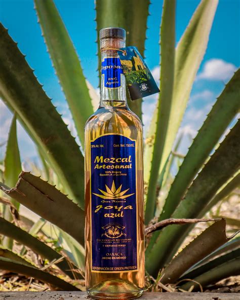 Mezcal Oaxaca