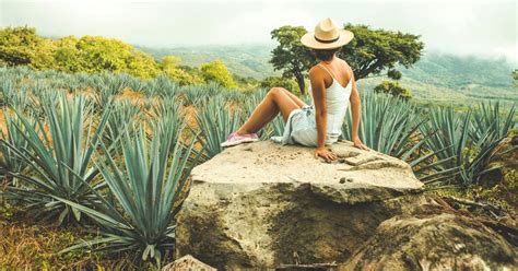 Mezcal Tour Oaxaca: An In-Depth Review