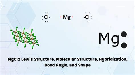 MgCl2 Hybridization