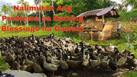 Abot-kamay na Solusyon sa mga Problema sa Bukid: Alamin ang Sagot!