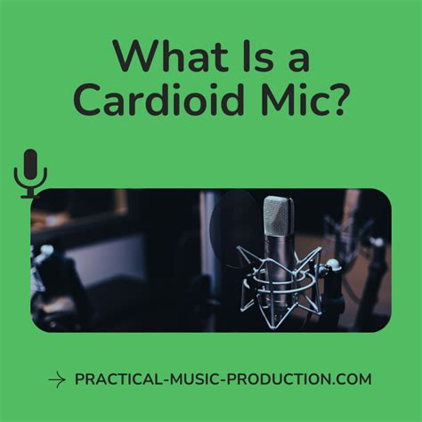 Mic Check: Complete Guide For Beginners
