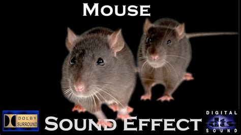 Mice sound