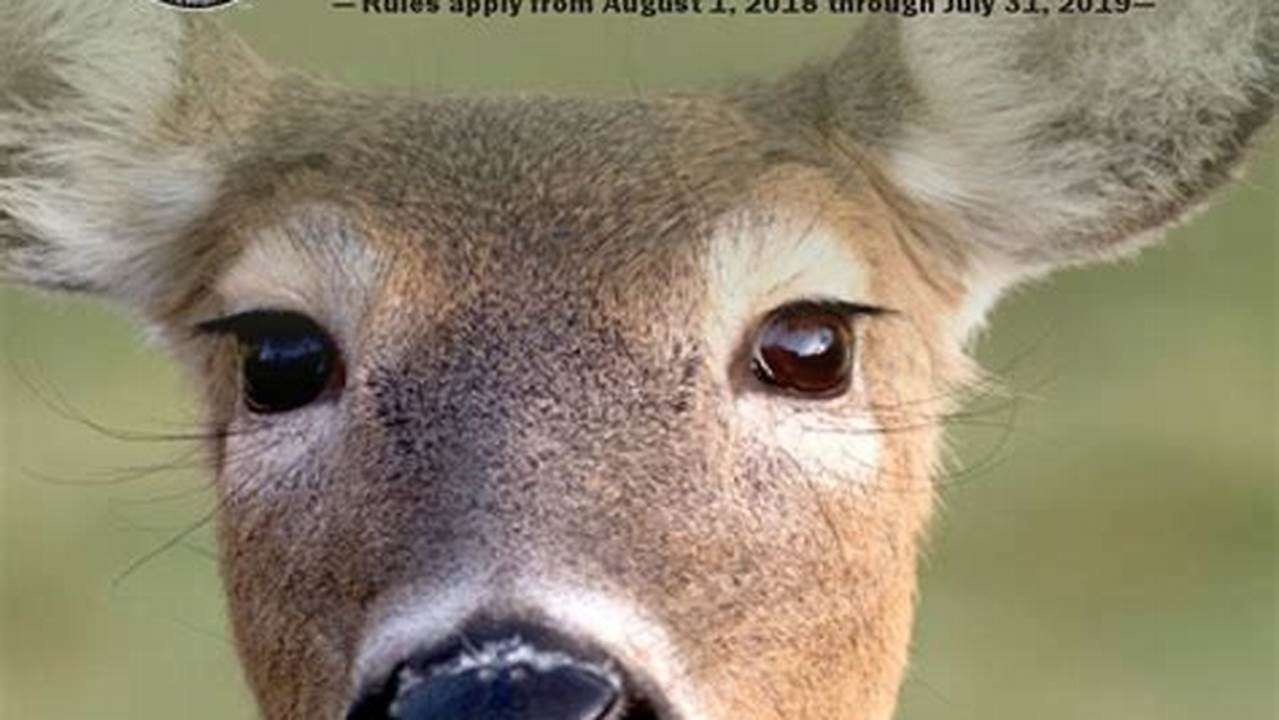 Michigan Hunting Digest 2024 Pdf Download