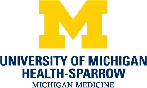 Michigan Math & Science Scholars Summer Program (MMSS) | U-M 