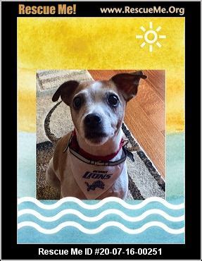 Michigan Russell Rescue